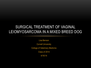 Benson-Lisa ppt 2014