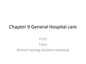 Animal Nursing: Hospital Care, Disinfectants & Welfare