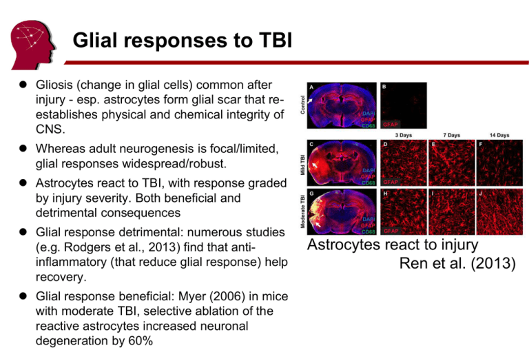 Lecture 6 Powerpoint McCausland Center Brain Imaging
