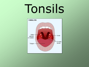 Tonsils: Anatomy, Pathology & Tonsillitis Presentation