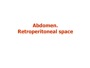 retroperitoneal space_lecture_engl