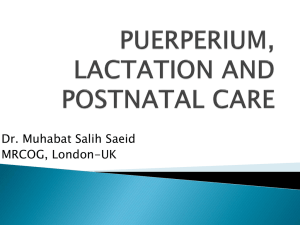 Puerperium, Lactation & Postnatal Care Presentation