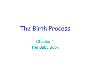 Baby Book Chap. 4 the Birth Process