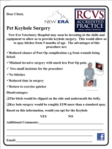 Key hole surgery - New Era Veterinary Hospital