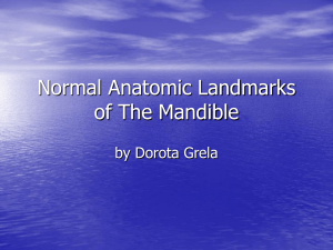 Mandible Anatomy: Normal Anatomic Landmarks