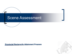 Scene Assessment