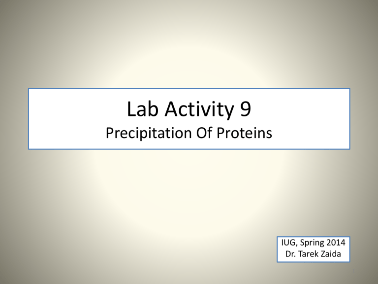 precipitation reaction of proteins experiment