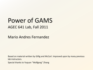 Power of GAMS: Algebraic Modeling System