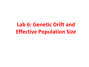 Lab 6: Genetic Drift and Effective population size