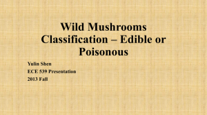 Wild Mushrooms Classification * Edible or Poisonous