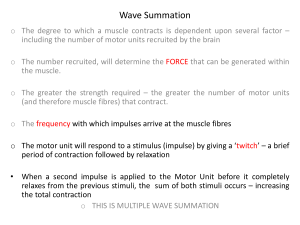 Wave Summation: Muscle Contraction & Motor Unit Recruitment