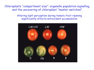 Plastid regulators slides