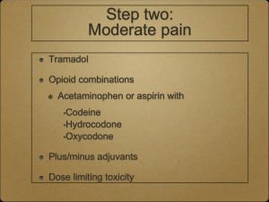 3B. EPEC Pain Management