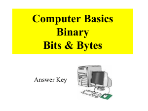 Computer Basics: Binary, Bits & Bytes Worksheet