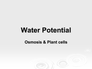 Water Potential