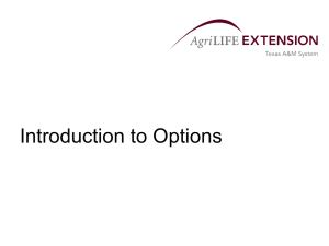 The Basics of Options