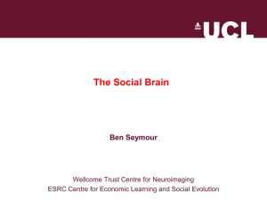 Powerpoint Presentation for "The Social Brain"