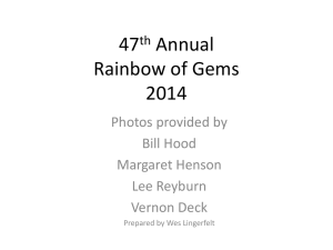 47th Annual Rainbow of Gems 2014