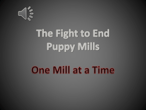 puppy mill psa