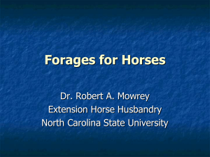 Forages for Horses - Perquimans County Center
