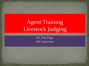 Introduction+to+Judging