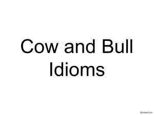 Cows and Bulls Idioms