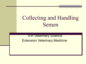 Semen collection