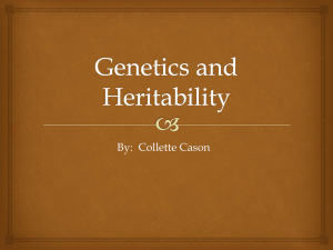 Genetics and Heritability