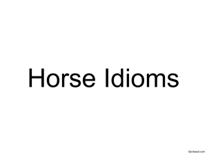 Horse Idioms