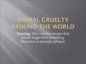 Animal Cruelty Around The World