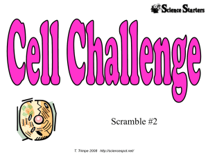 Cell Part Scramble Worksheet: Biology for Middle School