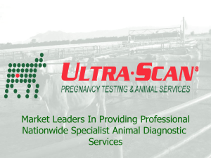scanning - Ultra Scan Limited