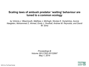 Temporal sequence of waiting times shows an intermittent pattern.