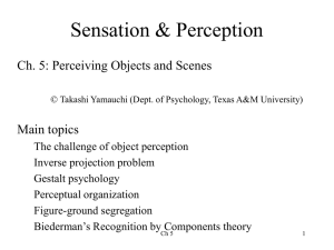 Ch 5 Perceiving objects