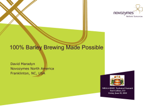 100% Barley Brewing with Enzymes: Ondea Pro Solution