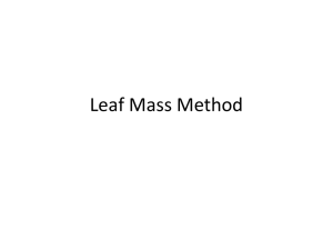 Leaf Mass Method