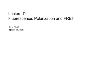 fluorescence_2