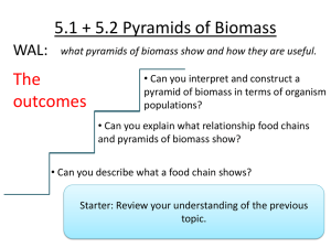 B1.19_Pyramids_of_biomass