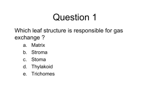 Quick Quiz
