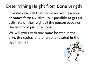Determining Height from Bone Length activity