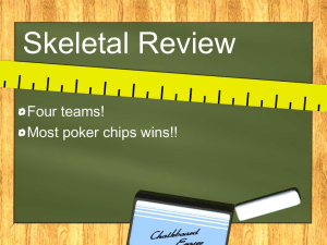 Skeletal Review