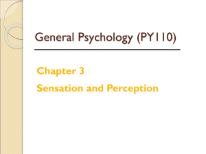 Sensation and Perception: General Psychology Presentation