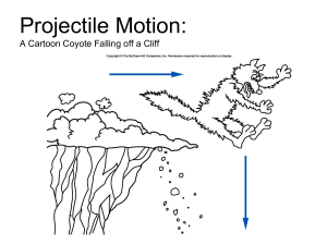 Projectile Motion: Falling Coyote & Physics Problems