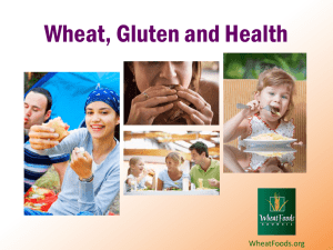 Wheat, Gluten & Health: Understanding the Facts