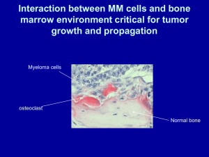 Interaction between MM cells and bone marrow environment critical