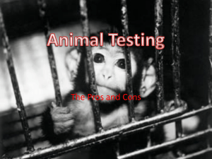 Animal Testing Slide Show