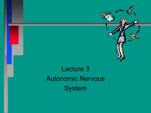 PowerPoint Presentation - lecture 3