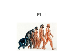 FLU