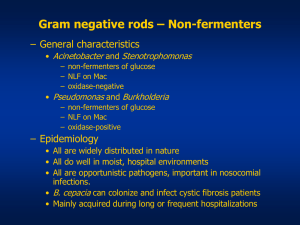 Gram-Negative Non-Fermenters: Characteristics & Diagnosis