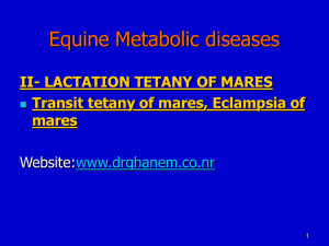 Lactation tetany in mares